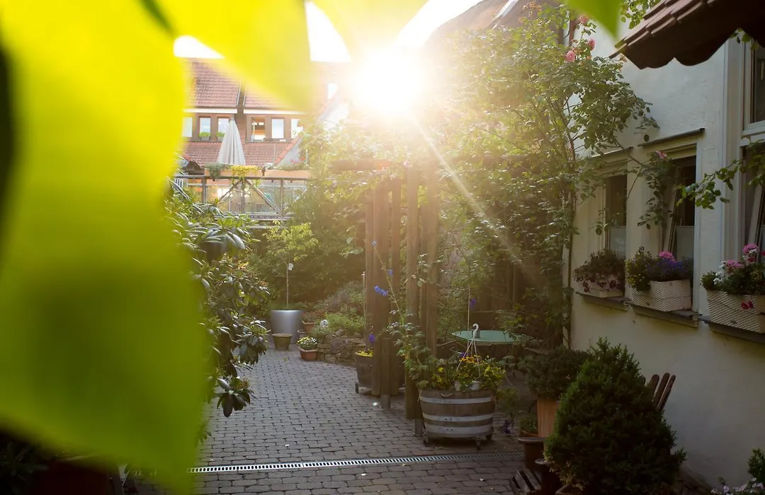 Beate'S Bed & Breakfast-1